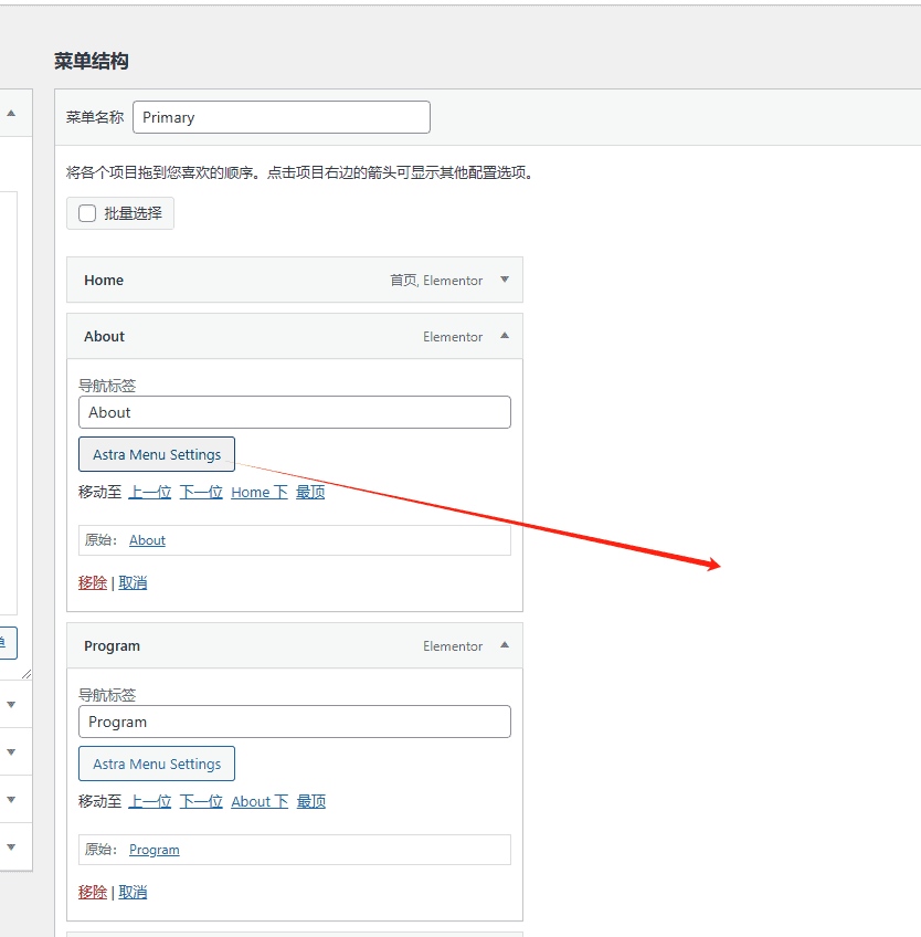 astra menu setting 点击astra菜单设置