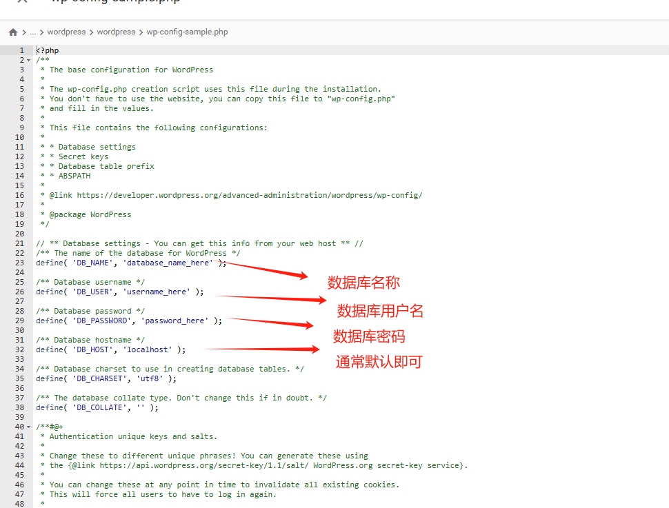 edit the config document WordPress建站教程,零基础快速搭建外贸网站【2025视频版】 – edit the config document