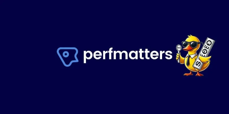 perfmatters教程