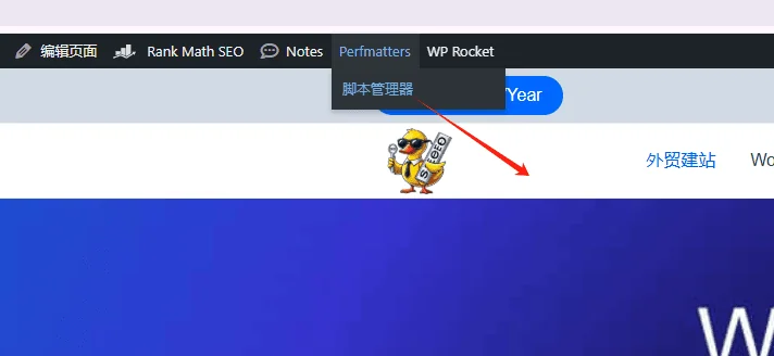 script manager Perfmatters教程:一步步教你移除无用JS、CSS,提升页面加载速度 – script manager