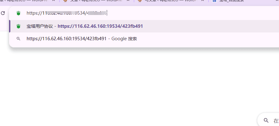 宝塔面板安装教程与使用指南（图文） – 输入宝塔提供的外网地址