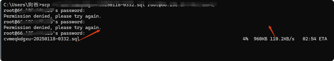 SCP上传 Vultr VPS购买搭建wordpress网站教程(图文视频) – SCP上传