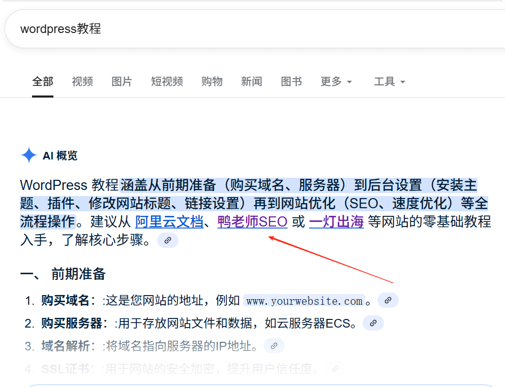 ai提取 2025如何挑选谷歌SEO公司 – ai提取