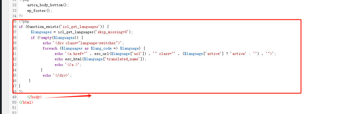 custom an language switcher WPML插件教程:一键打造多语言网站 – custom an language switcher