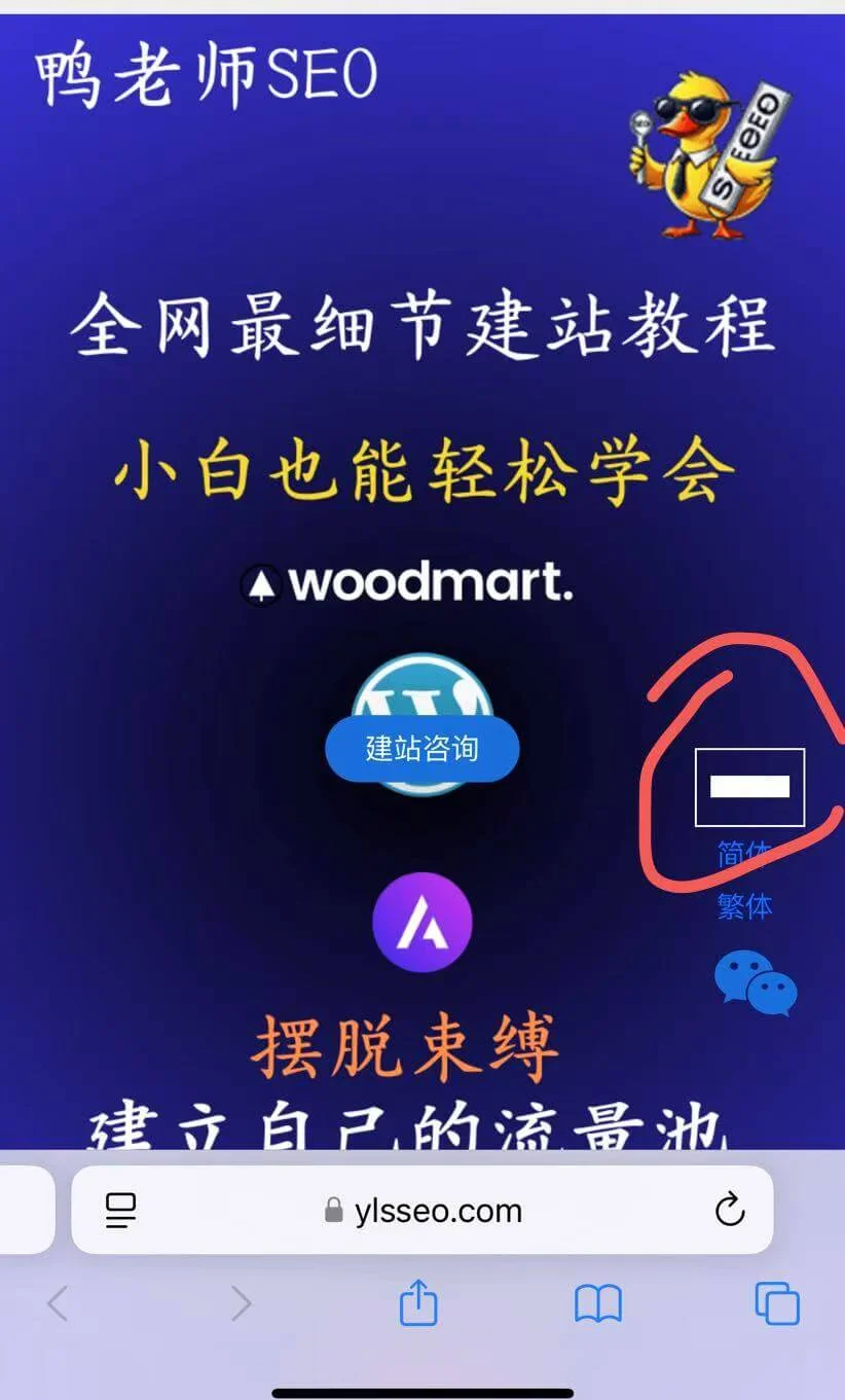 custom wpml language selector error 自定义语言菜单错误
