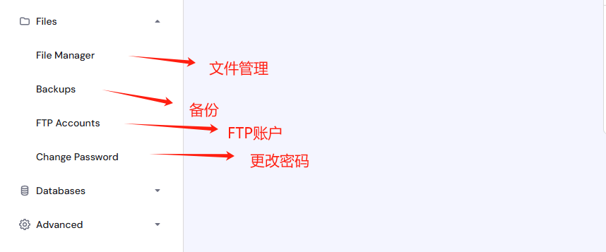 Hostinger教程：功能详解和设置指南 – files 1