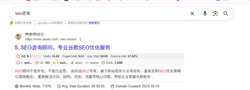 seo咨询 2025如何挑选谷歌SEO公司 – seo咨询