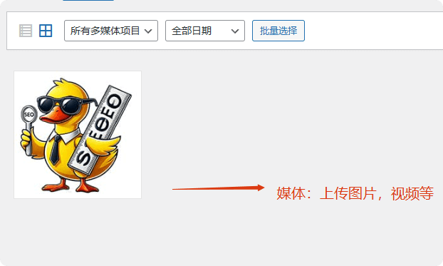 Wordpress后台怎么用?仪表盘使用教程全解(附视频) –