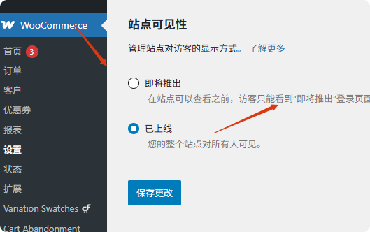 Astra pro主题教程，适合任何网站的主题 –
