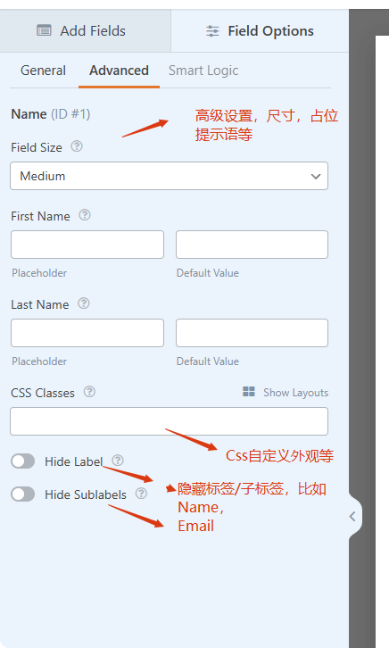 表单高级设置 WPForms教程 - WordPress联系表单创建全攻略 – 表单高级设置
