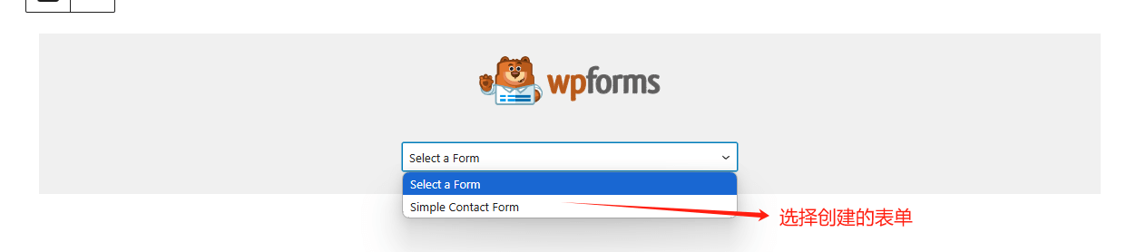 选择创建的表单 WPForms教程 - WordPress联系表单创建全攻略 – 选择创建的表单