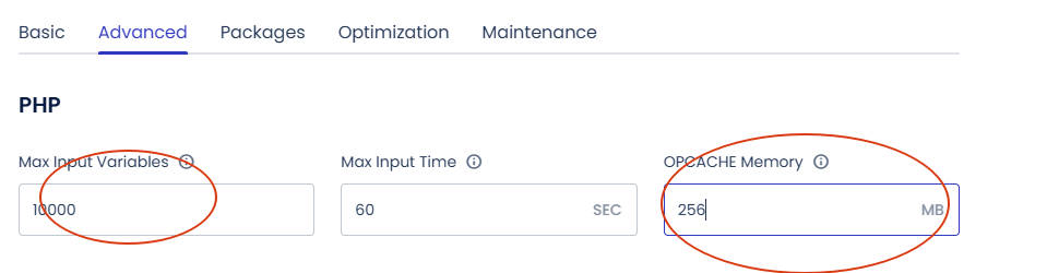 高级设置 1 Cloudways教程:注册购买与建站(7折优惠码) – 高级设置 1