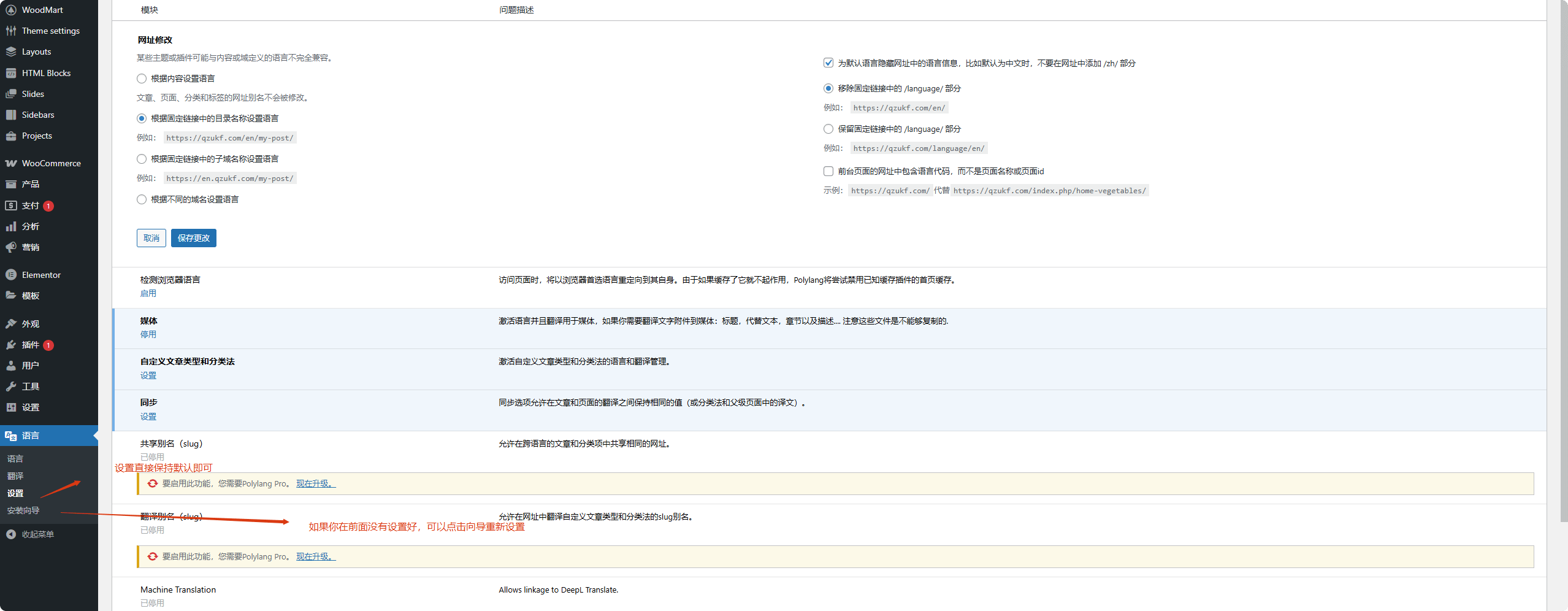 默认设置 如何用Polylang设置小语种WordPress网站 – 默认设置